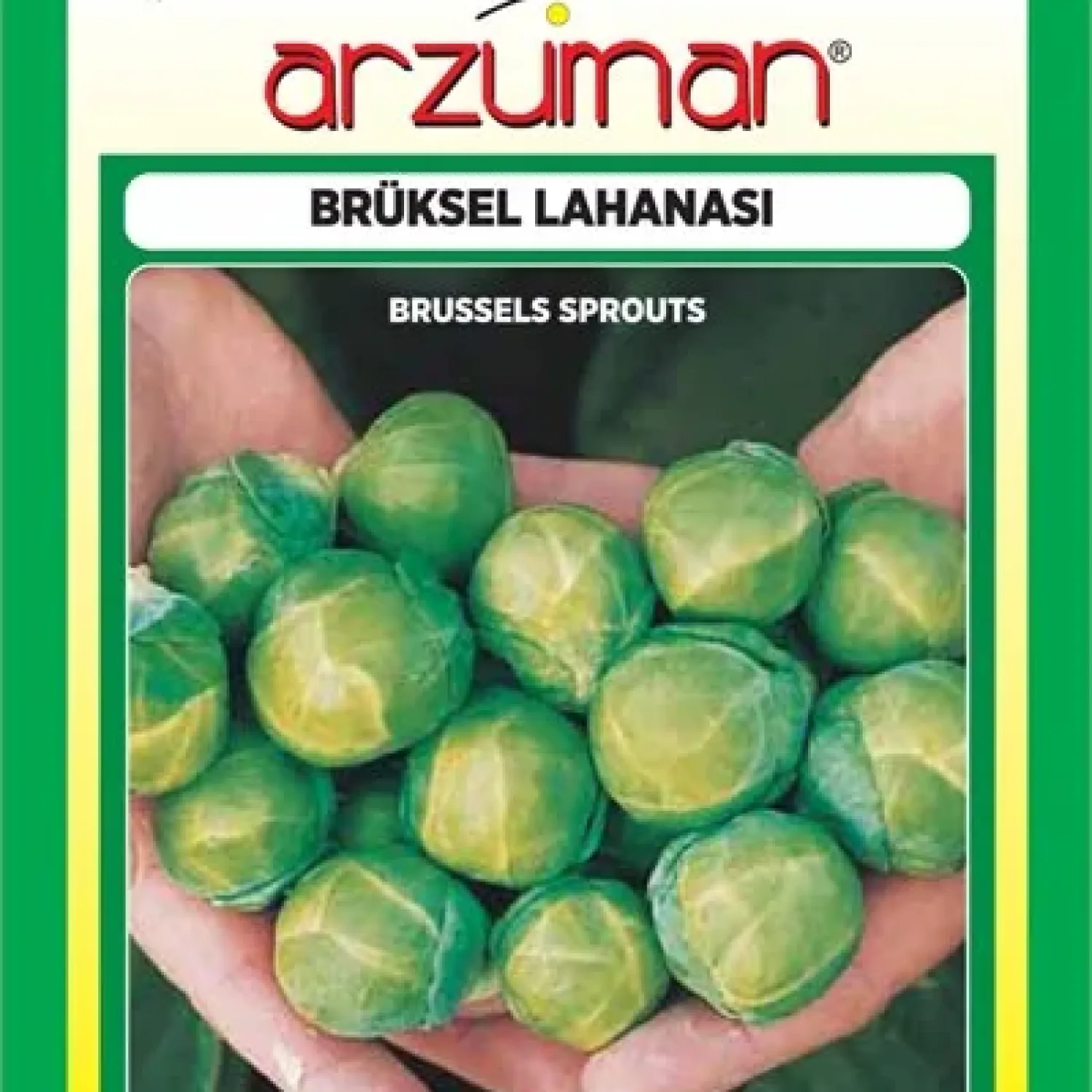 Brüksel Lahana Tohumu 200 Adet