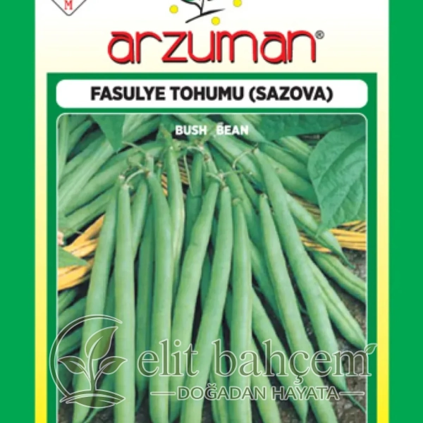 Sazova Fasulye Tohumu