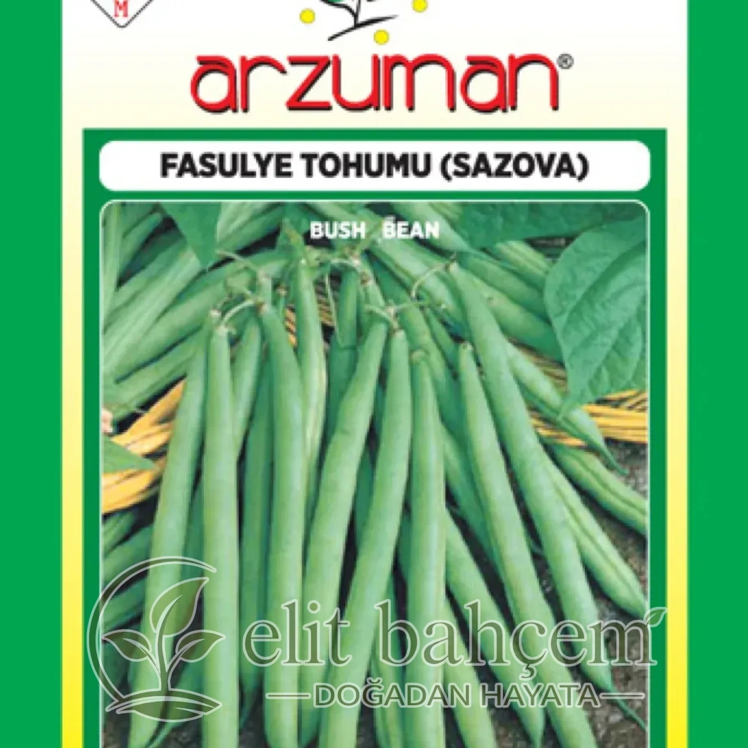 Sazova Fasulye Tohumu