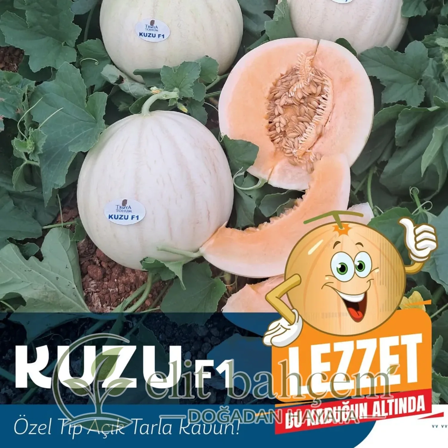 Kuzu F1 Kavun Tohumu 1000 Adet