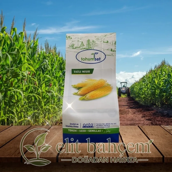 Calipos F1 Tatlı Süt Mısır Tohumu 500 Gr
