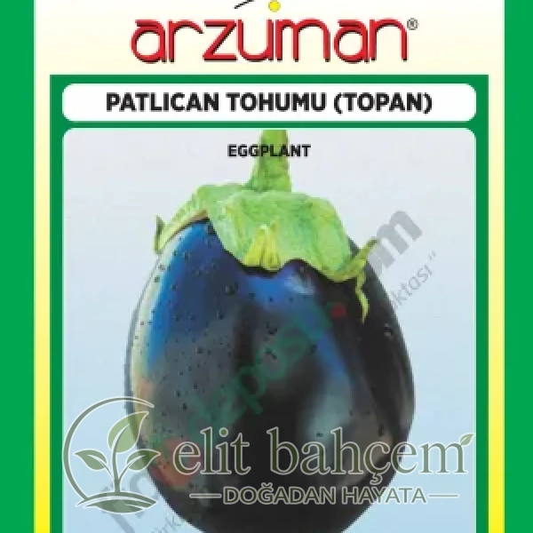 Topan Patlıcan Tohumu