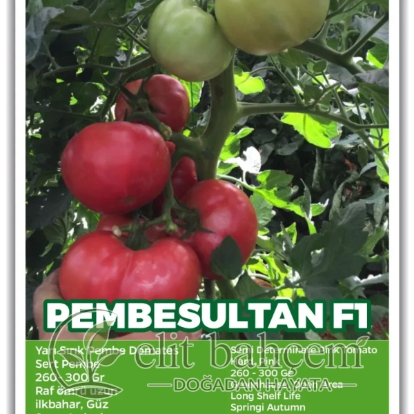 Pembesultan F1 Pembe Domates Tohumu