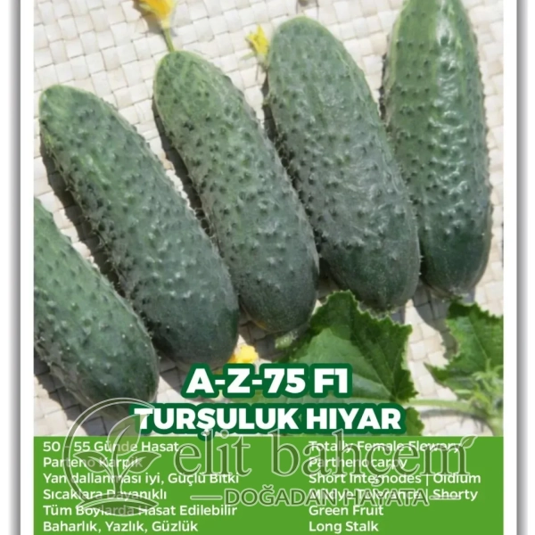 AZ 75 F1 Turşuluk Kornişon Hıyar Tohumu 2500 Adet