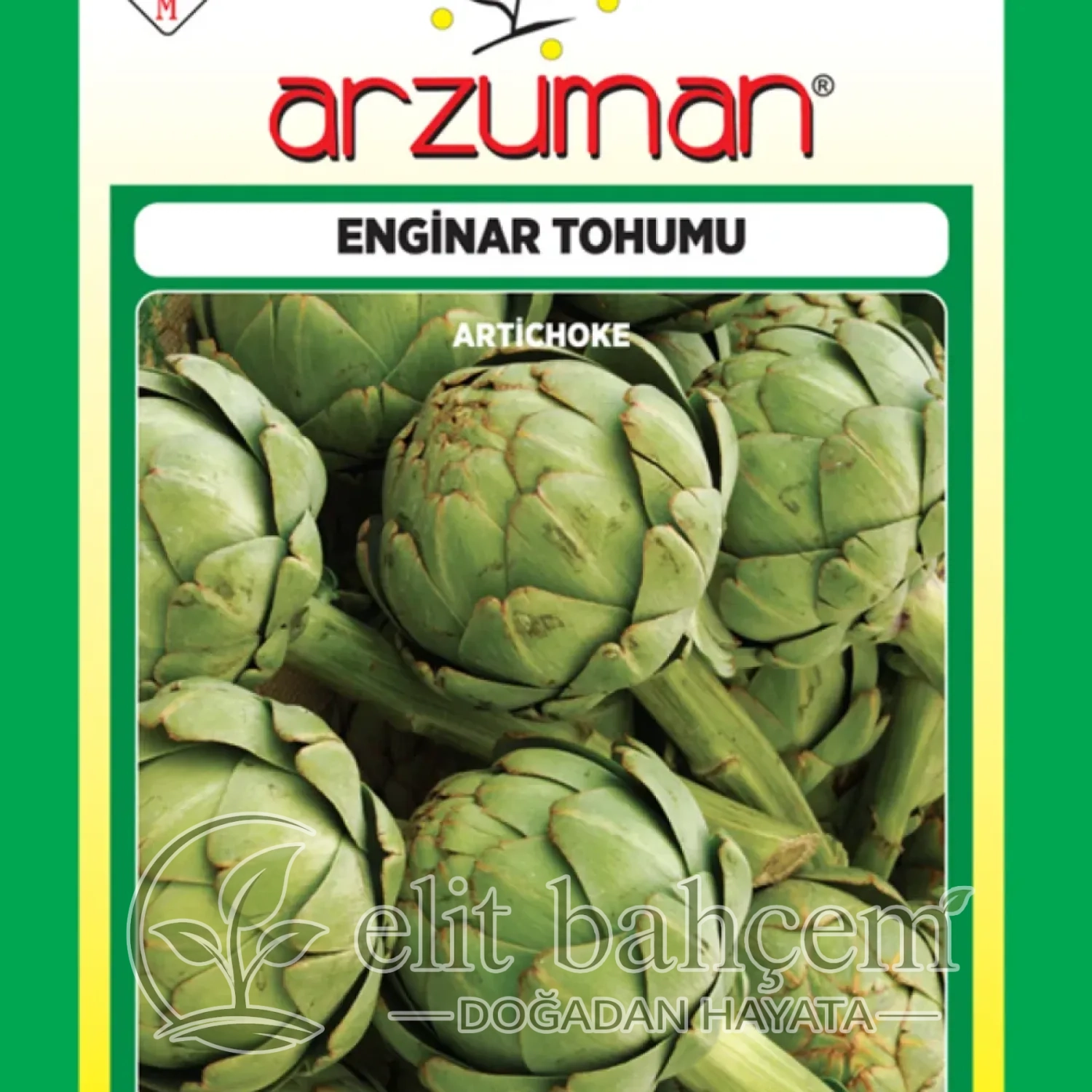 Enginar Tohumu Hobi Paket
