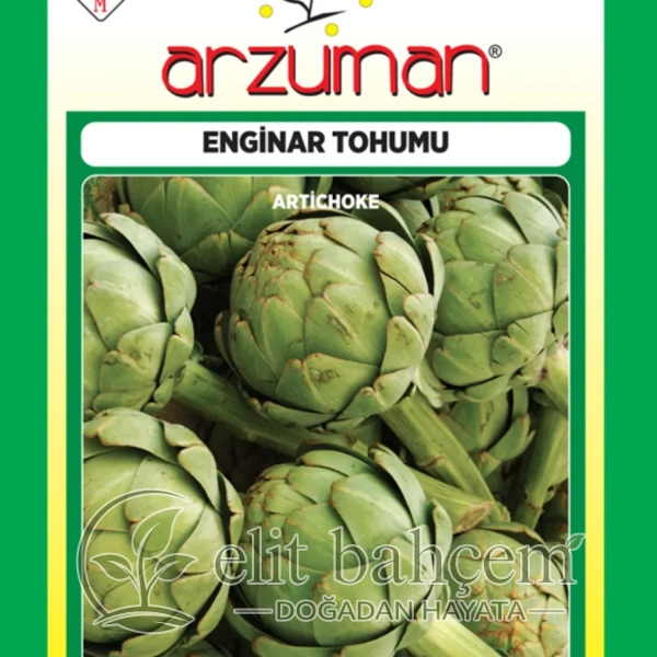 Enginar Tohumu Hobi Paket