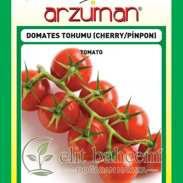 Çeri Domates Tohumu
