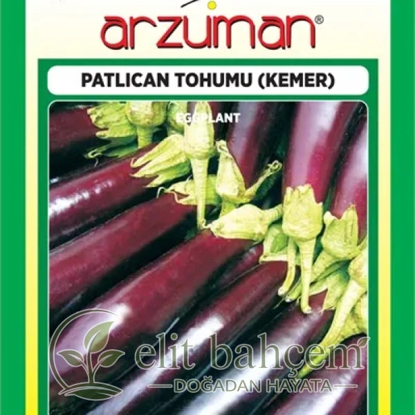 Kemer Patlıcan Tohumu