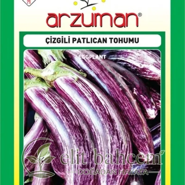 Çizgili Patlıcan Tohumu