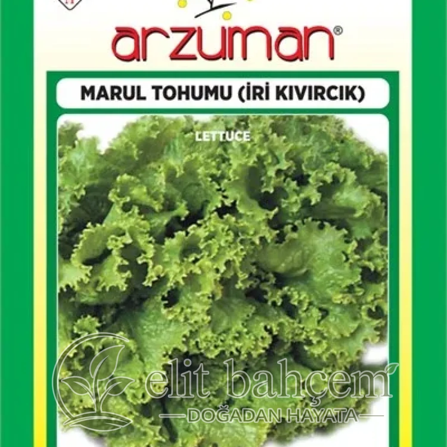 İri Kıvırcık Marul Tohumu