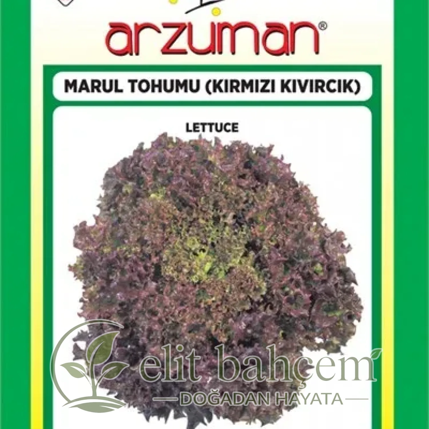 Kırmızı Kıvırcık Marul Tohumu