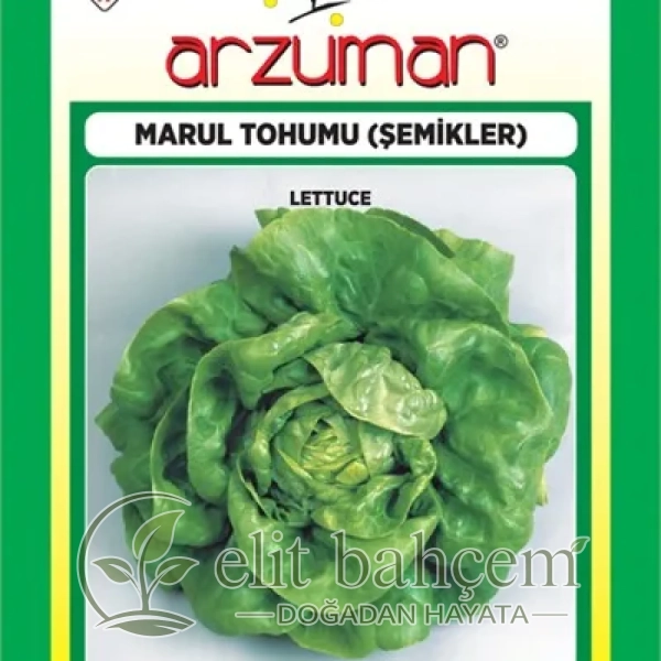 Şemikler Marul Tohumu