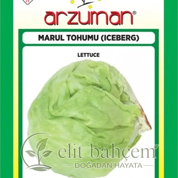 İceberg Marul Tohumu