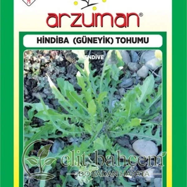 Hindiba Güneyik Tohumu