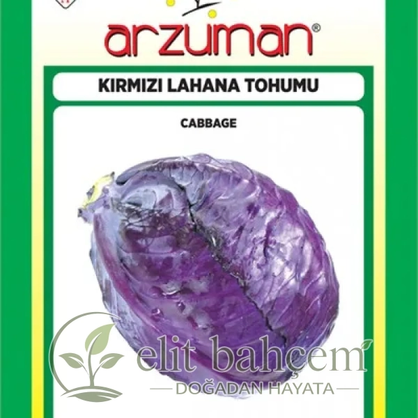Kırmızı Lahana Tohumu