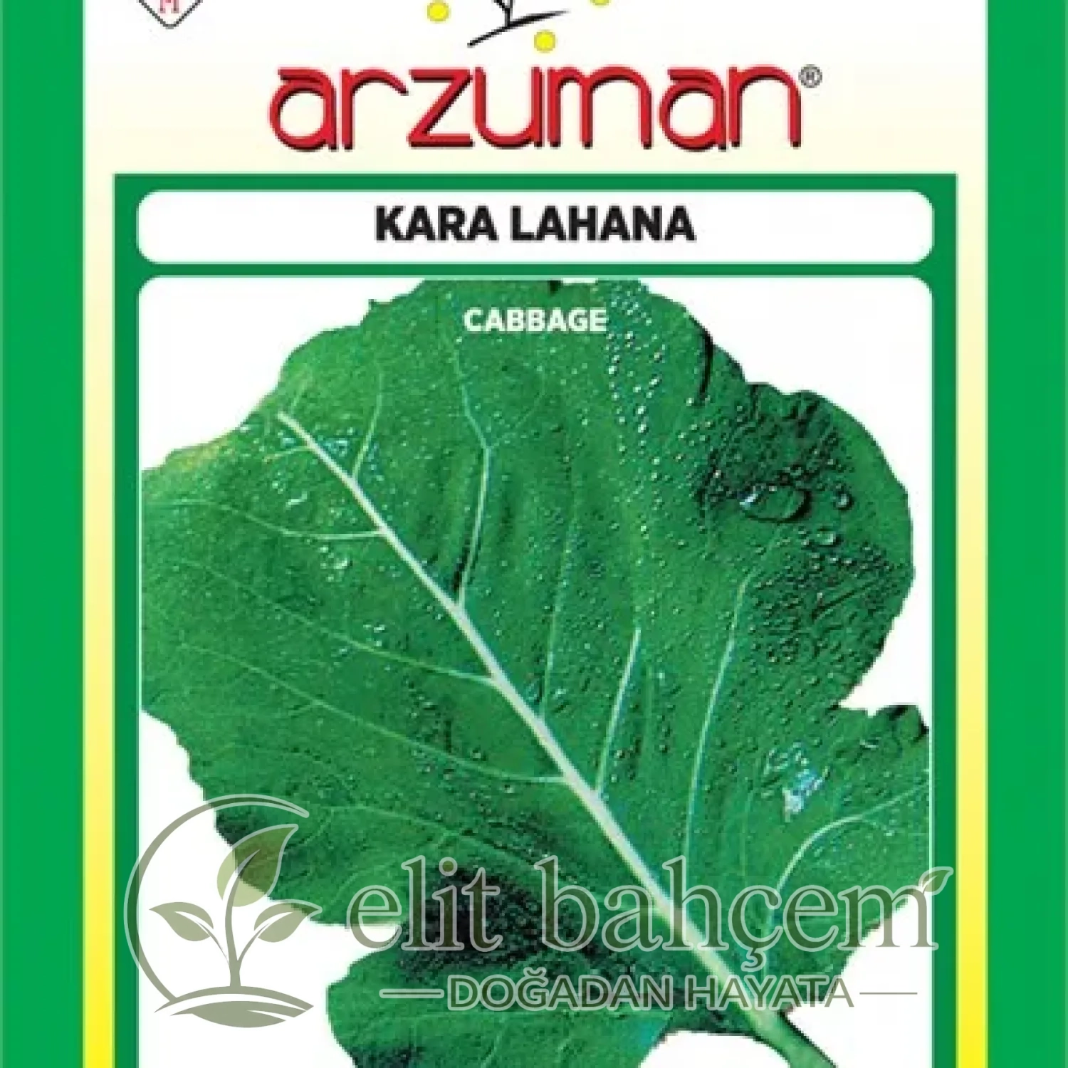Yaprak Lahana Tohumu