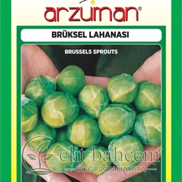 Brüksel Lahana Tohumu 200 Adet