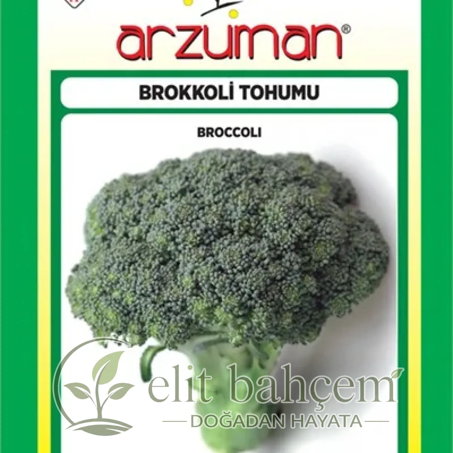 Brokoli Tohumu