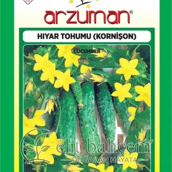 Kornişon Turşuluk Hıyar Tohumu
