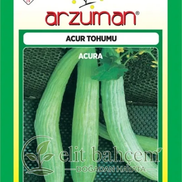 Acur Tohumu