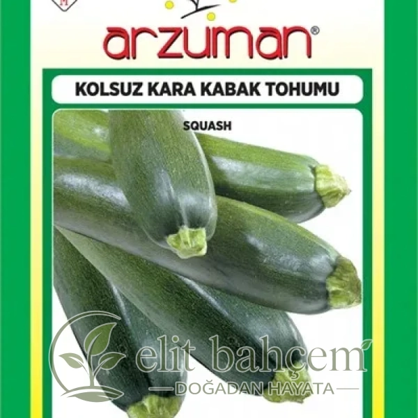 Siyah Kabak Tohumu