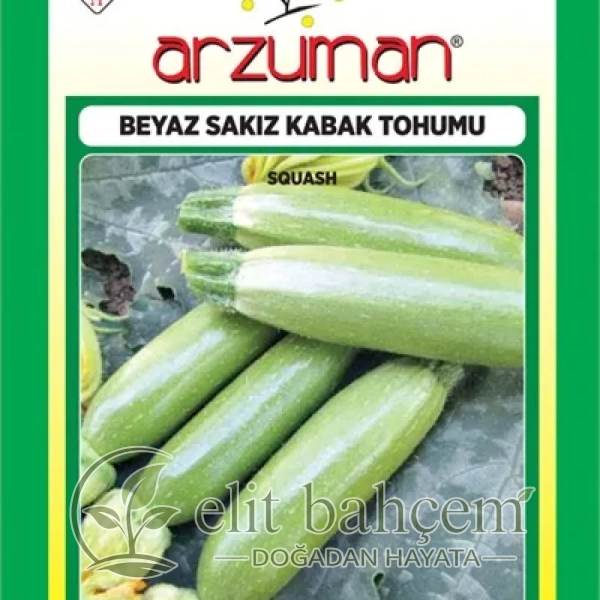 Sakız Beyaz Kabak Tohumu