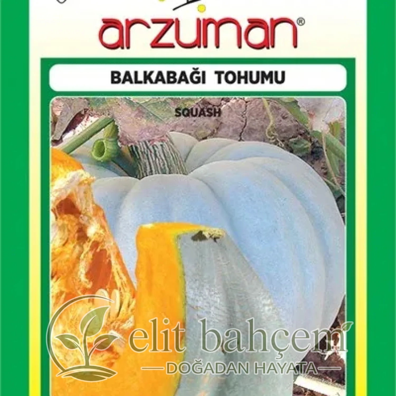 Balkabağı Kabak Tohumu