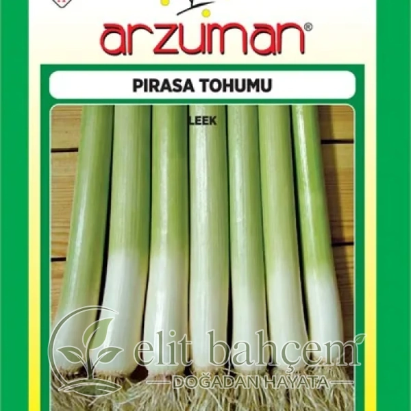 Pırasa Tohumu