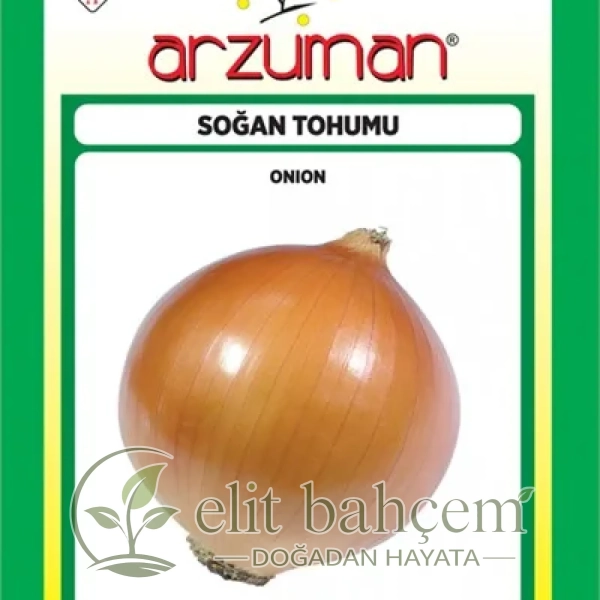 Kuru Soğan Tohumu