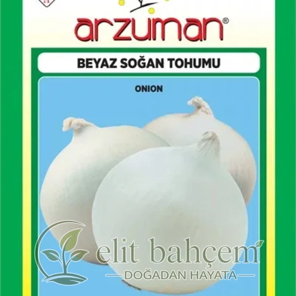 Beyaz Soğan Tohumu
