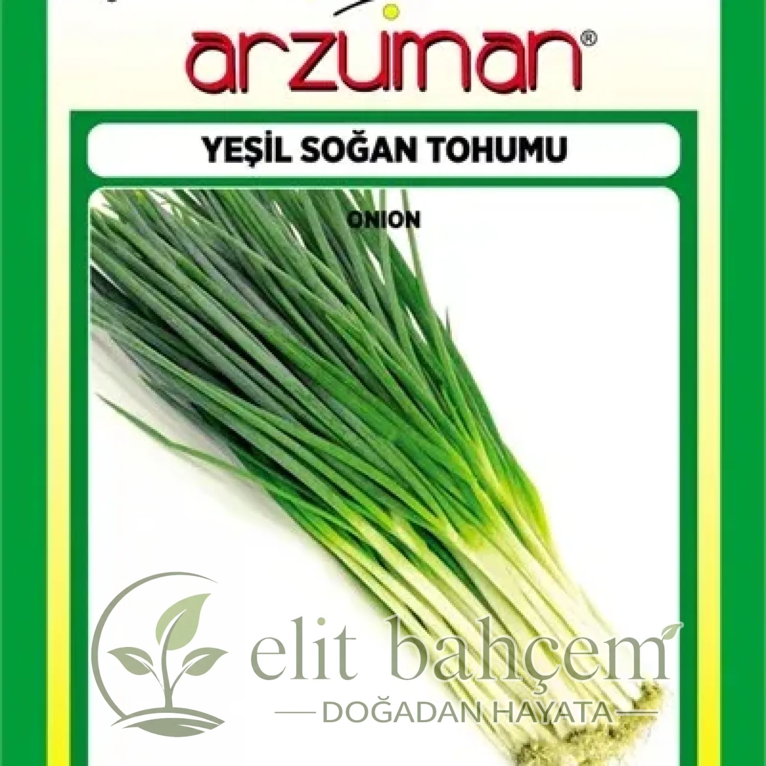 Yeşil Taze Soğan Tohumu