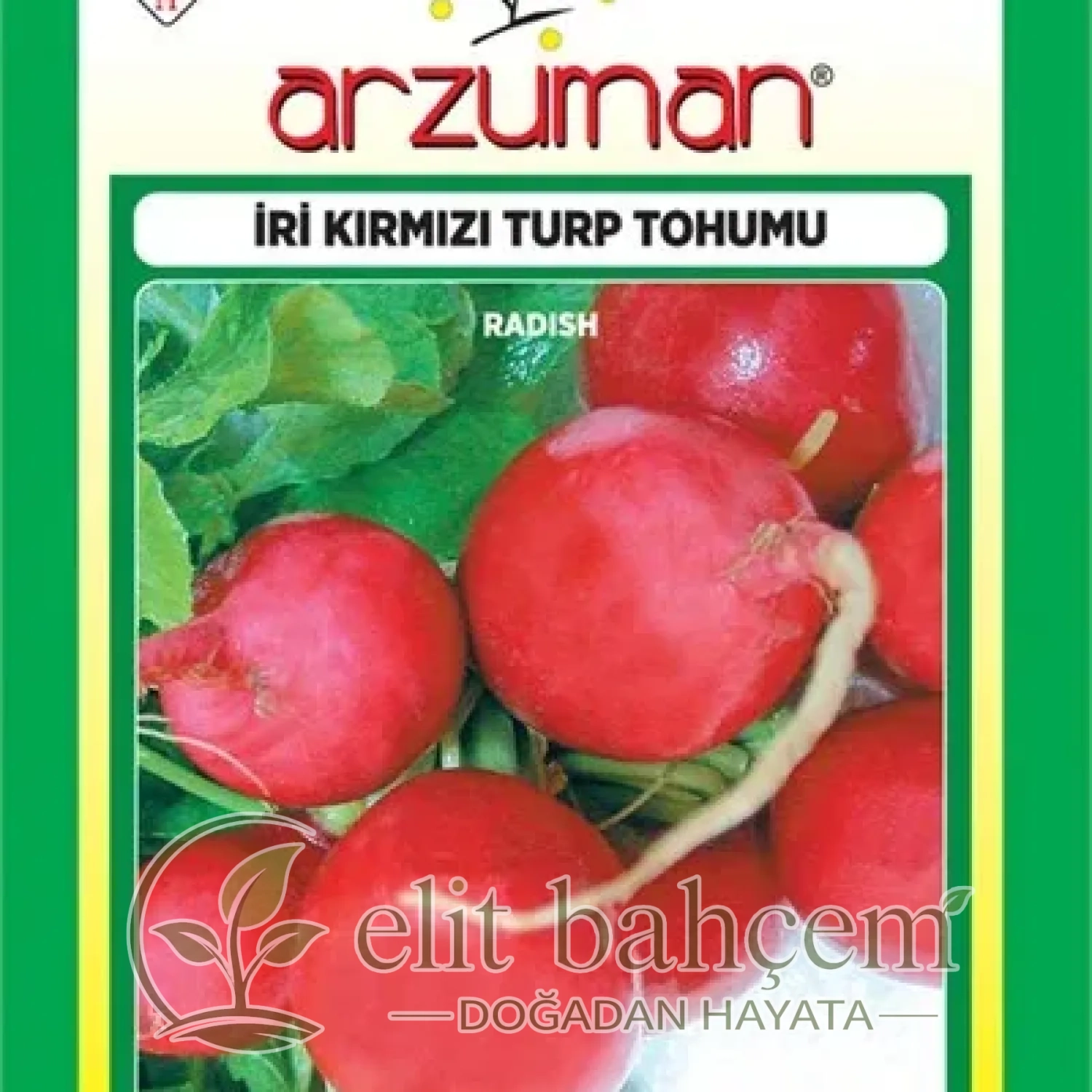 İri Kırmızı Turp Tohumu