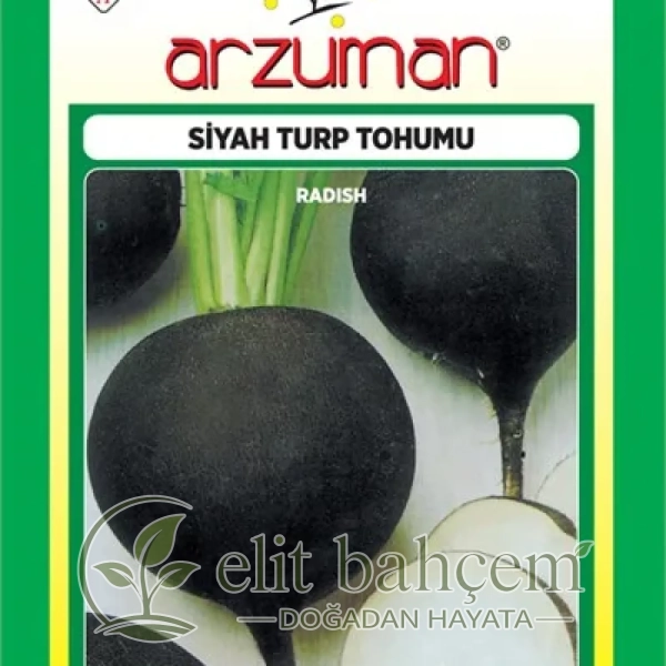 Siyah Turp Tohumu