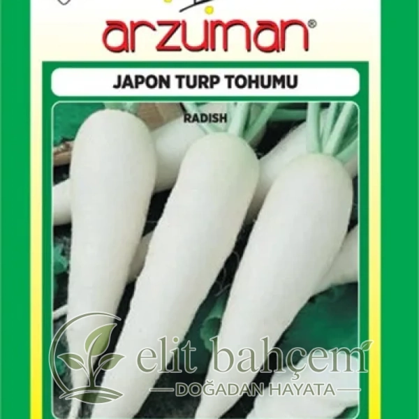 Japon Turpu Tohumu