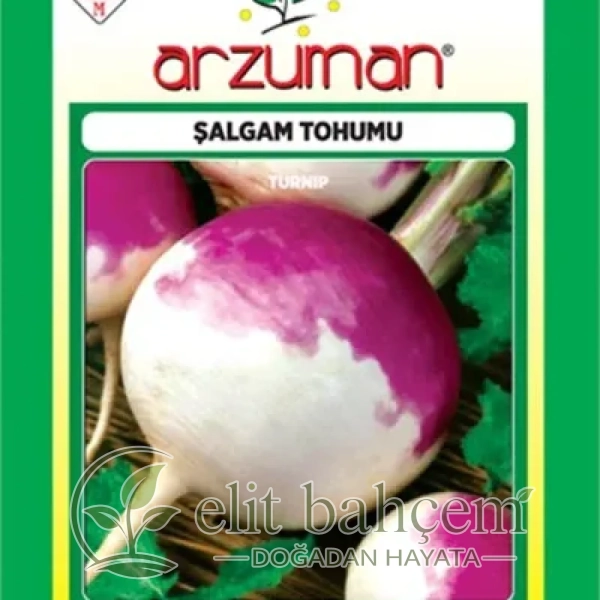 Şalgam Turpu Tohumu