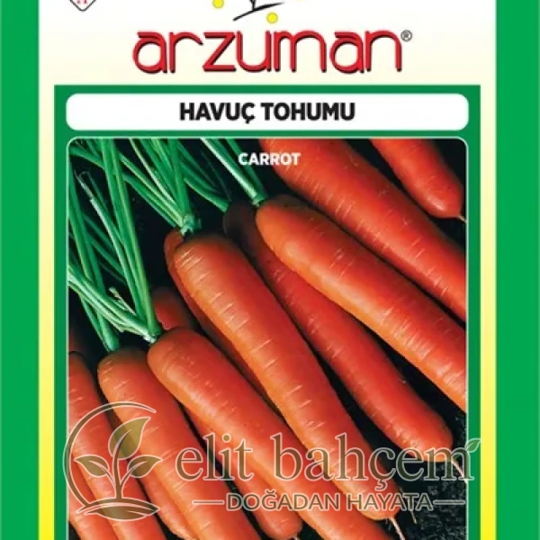 Havuç Tohumu