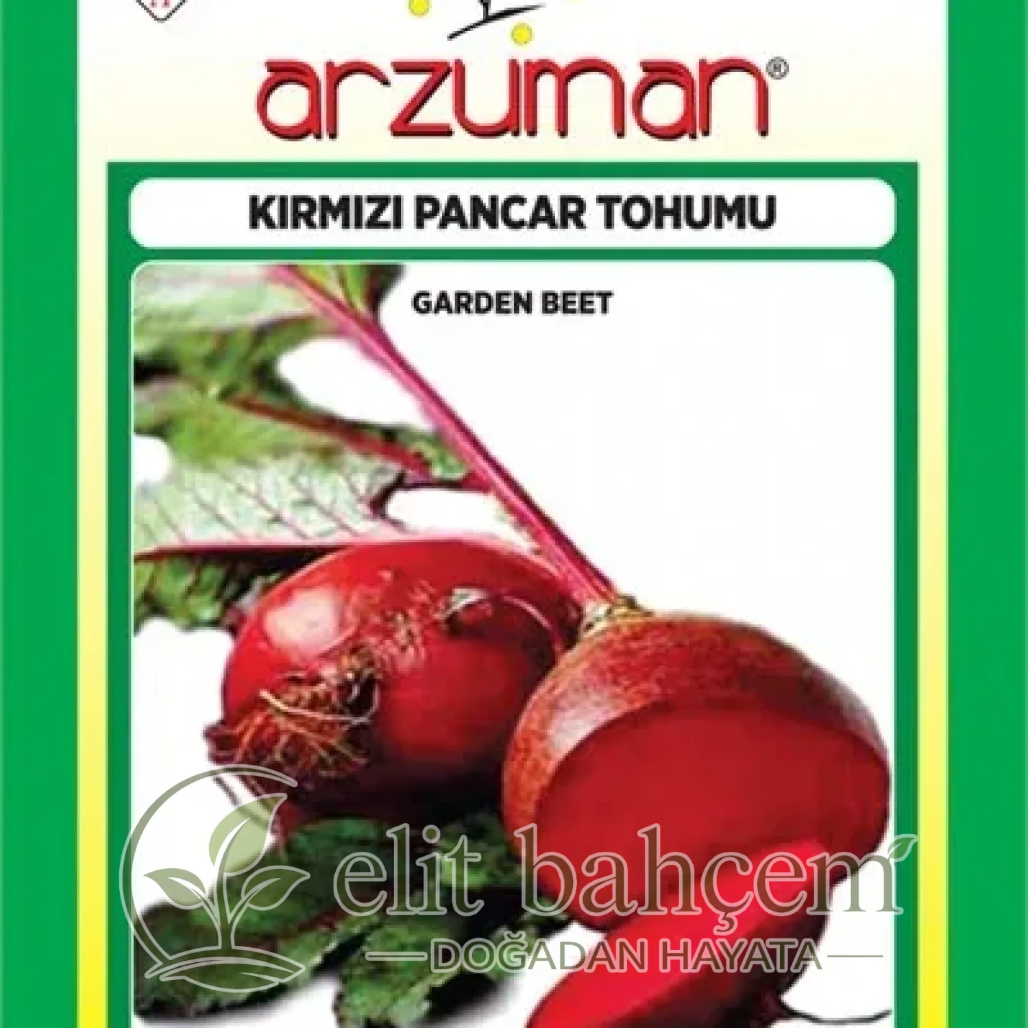 Kırmızı Pancar Tohumu