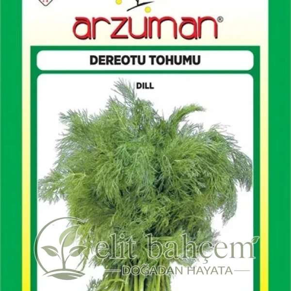 Dereotu Tohumu