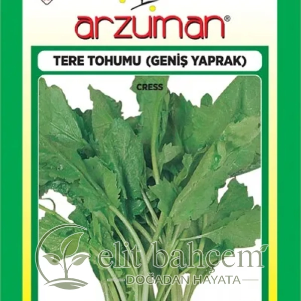 Tere Tohumu