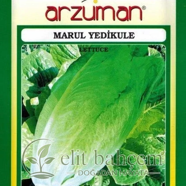 Yedikule Marul Tohumu